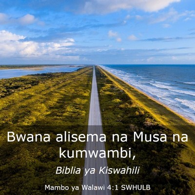 Picture 03 - Mambo ya Walawi 4:1 SWHULB - Bwana alisema na Musa na - Bible Verse Picture