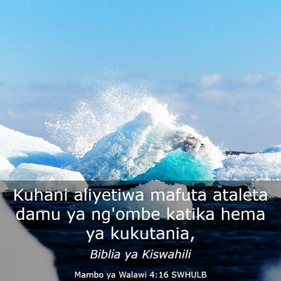 Picture 03 - Mambo ya Walawi 4:16 SWHULB - Kuhani aliyetiwa mafuta ataleta damu ya ng'ombe - Bible Verse Picture