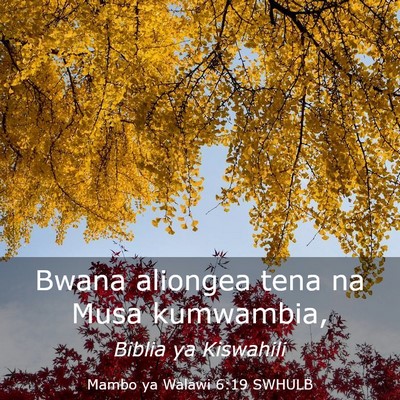 Picture 03 - Mambo ya Walawi 6:19 SWHULB - Bwana aliongea tena na Musa - Bible Verse Picture