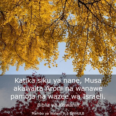 Picture 03 - Mambo ya Walawi 9:1 SWHULB - Katika siku ya nane, Musa akawaita Aroni na - Bible Verse Picture