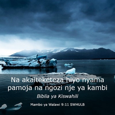 Picture 03 - Mambo ya Walawi 9:11 SWHULB - Na akaiteketeza hiyo nyama pamoja na ngozi nje ya - Bible Verse Picture
