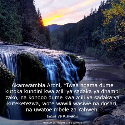 Picture 03 - Mambo ya Walawi 9:2 SWHULB - Akamwambia Aroni, “Twaa ndama dume kutoka - Bible Verse Picture