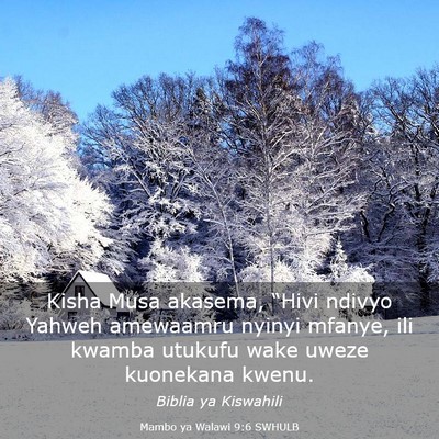 Picture 03 - Mambo ya Walawi 9:6 SWHULB - Kisha Musa akasema, “Hivi ndivyo Yahweh - Bible Verse Picture