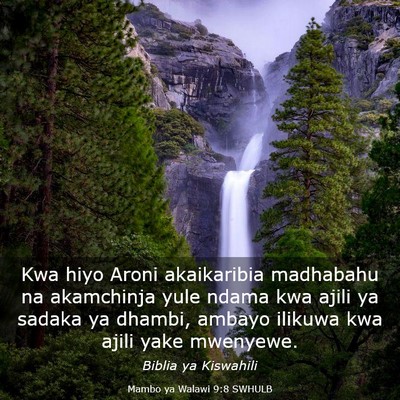 Picture 03 - Mambo ya Walawi 9:8 SWHULB - Kwa hiyo Aroni akaikaribia madhabahu na - Bible Verse Picture
