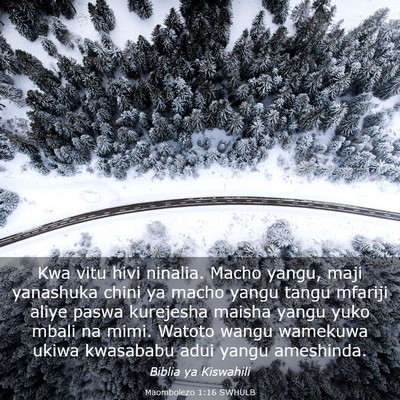 Picture 03 - Maombolezo 1:16 SWHULB - Kwa vitu hivi ninalia. Macho yangu, maji - Bible Verse Picture
