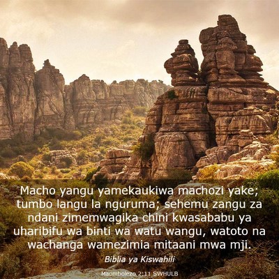 Picture 03 - Maombolezo 2:11 SWHULB - Macho yangu yamekaukiwa machozi yake; tumbo langu - Bible Verse Picture