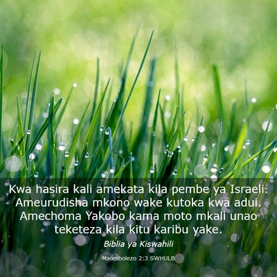 Picture 03 - Maombolezo 2:3 SWHULB - Kwa hasira kali amekata kila pembe ya Israeli. - Bible Verse Picture
