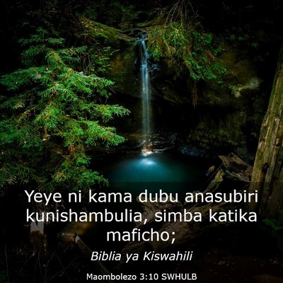 Picture 03 - Maombolezo 3:10 SWHULB - Yeye ni kama dubu anasubiri kunishambulia, simba - Bible Verse Picture