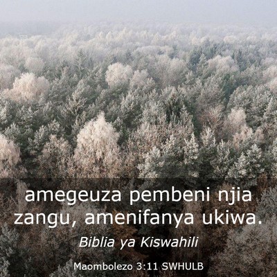 Picture 03 - Maombolezo 3:11 SWHULB - amegeuza pembeni njia zangu, amenifanya - Bible Verse Picture