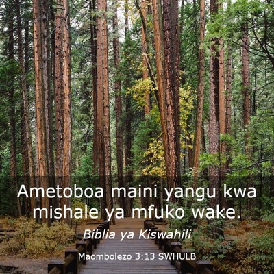 Picture 03 - Maombolezo 3:13 SWHULB - Ametoboa maini yangu kwa mishale ya mfuko - Bible Verse Picture
