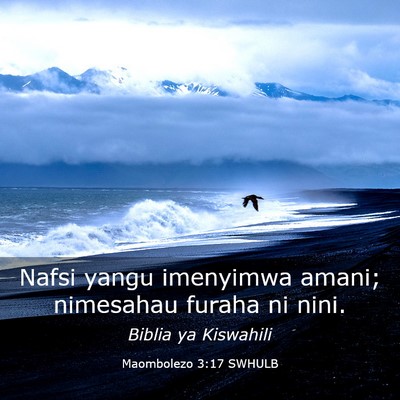 Picture 03 - Maombolezo 3:17 SWHULB - Nafsi yangu imenyimwa amani; nimesahau furaha ni - Bible Verse Picture