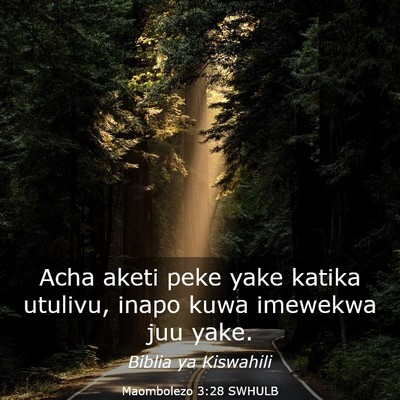 Picture 03 - Maombolezo 3:28 SWHULB - Acha aketi peke yake katika utulivu, inapo kuwa - Bible Verse Picture