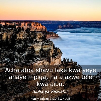 Picture 03 - Maombolezo 3:30 SWHULB - Acha atoa shavu lake kwa yeye anaye mpiga, na - Bible Verse Picture
