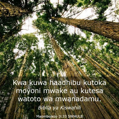 Picture 03 - Maombolezo 3:33 SWHULB - Kwa kuwa haadhibu kutoka moyoni mwake au kutesa - Bible Verse Picture