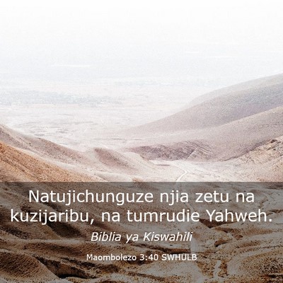 Picture 03 - Maombolezo 3:40 SWHULB - Natujichunguze njia zetu na kuzijaribu, na - Bible Verse Picture