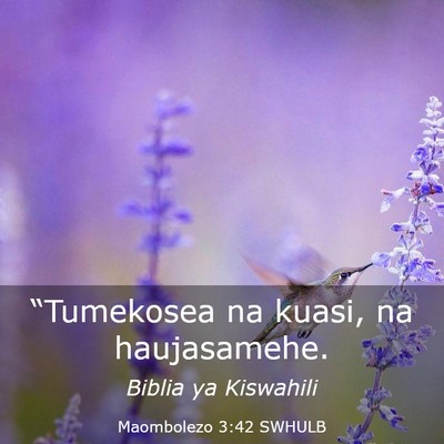 Picture 03 - Maombolezo 3:42 SWHULB - “Tumekosea na kuasi, na - Bible Verse Picture