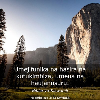 Picture 03 - Maombolezo 3:43 SWHULB - Umejifunika na hasira na kutukimbiza, umeua na - Bible Verse Picture