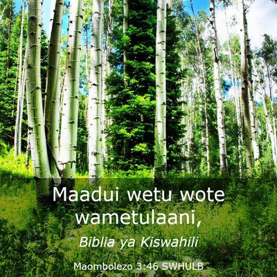 Picture 03 - Maombolezo 3:46 SWHULB - Maadui wetu wote - Bible Verse Picture