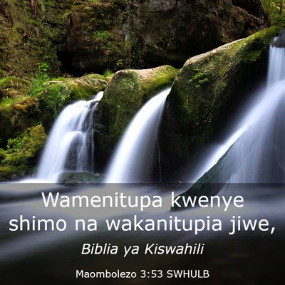Picture 03 - Maombolezo 3:53 SWHULB - Wamenitupa kwenye shimo na wakanitupia - Bible Verse Picture