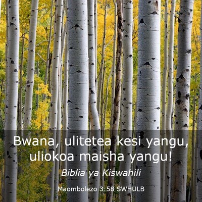 Picture 03 - Maombolezo 3:58 SWHULB - Bwana, ulitetea kesi yangu, uliokoa maisha - Bible Verse Picture