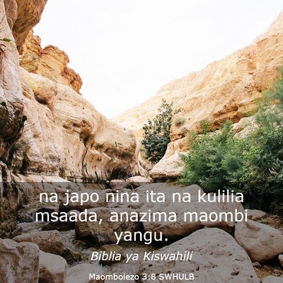 Picture 03 - Maombolezo 3:8 SWHULB - na japo nina ita na kulilia msaada, anazima - Bible Verse Picture