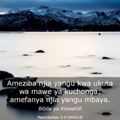 Picture 03 - Maombolezo 3:9 SWHULB - Ameziba njia yangu kwa ukuta wa mawe ya kuchonga; - Bible Verse Picture