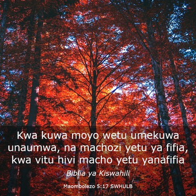 Picture 03 - Maombolezo 5:17 SWHULB - Kwa kuwa moyo wetu umekuwa unaumwa, na machozi - Bible Verse Picture
