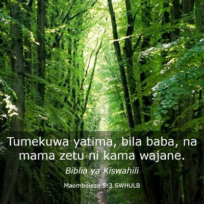 Picture 03 - Maombolezo 5:3 SWHULB - Tumekuwa yatima, bila baba, na mama zetu ni kama - Bible Verse Picture