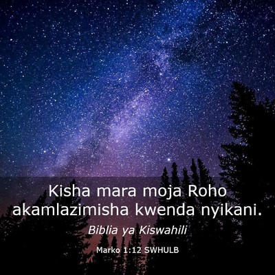 Picture 03 - Marko 1:12 SWHULB - Kisha mara moja Roho akamlazimisha kwenda - Bible Verse Picture