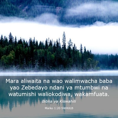 Picture 03 - Marko 1:20 SWHULB - Mara aliwaita na wao walimwacha baba yao Zebedayo - Bible Verse Picture