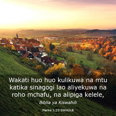 Picture 03 - Marko 1:23 SWHULB - Wakati huo huo kulikuwa na mtu katika sinagogi - Bible Verse Picture