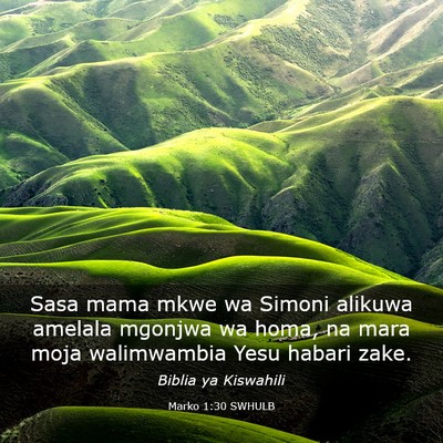 Picture 03 - Marko 1:30 SWHULB - Sasa mama mkwe wa Simoni alikuwa amelala mgonjwa - Bible Verse Picture