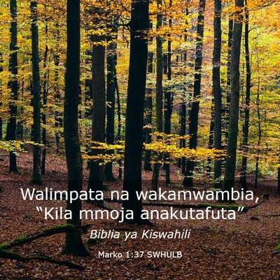 Picture 03 - Marko 1:37 SWHULB - Walimpata na wakamwambia, “Kila mmoja - Bible Verse Picture