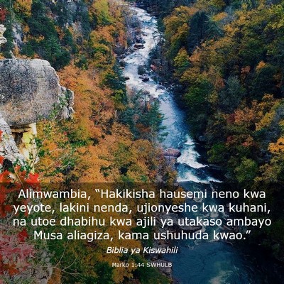 Picture 03 - Marko 1:44 SWHULB - Alimwambia, “Hakikisha hausemi neno kwa yeyote, - Bible Verse Picture