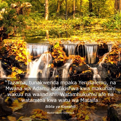 Picture 03 - Marko 10:33 SWHULB - “Tazama, tunakwenda mpaka Yerusalemu, na Mwana - Bible Verse Picture