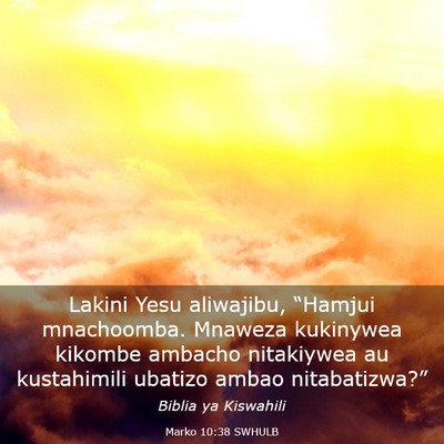 Picture 03 - Marko 10:38 SWHULB - Lakini Yesu aliwajibu, “Hamjui mnachoomba. - Bible Verse Picture