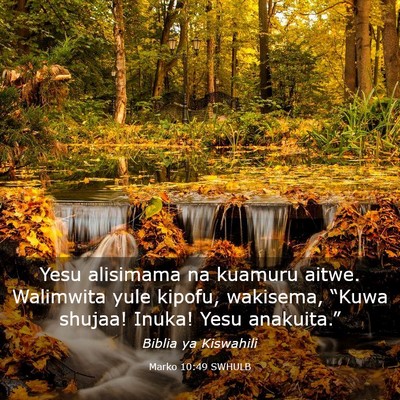 Picture 03 - Marko 10:49 SWHULB - Yesu alisimama na kuamuru aitwe. Walimwita yule - Bible Verse Picture