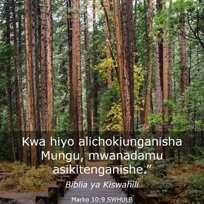 Picture 03 - Marko 10:9 SWHULB - Kwa hiyo alichokiunganisha Mungu, mwanadamu - Bible Verse Picture
