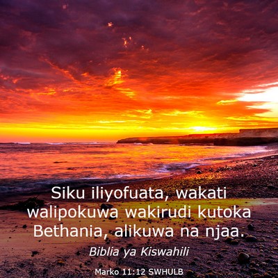 Picture 03 - Marko 11:12 SWHULB - Siku iliyofuata, wakati walipokuwa wakirudi - Bible Verse Picture