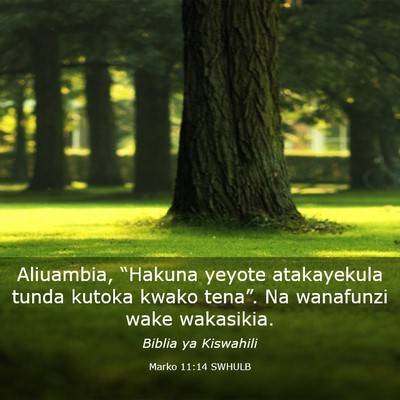 Picture 03 - Marko 11:14 SWHULB - Aliuambia, “Hakuna yeyote atakayekula tunda - Bible Verse Picture