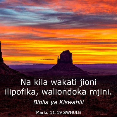 Picture 03 - Marko 11:19 SWHULB - Na kila wakati jioni ilipofika, waliondoka - Bible Verse Picture