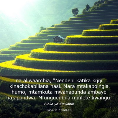 Picture 03 - Marko 11:2 SWHULB - na aliwaambia, “Nendeni katika kijiji - Bible Verse Picture