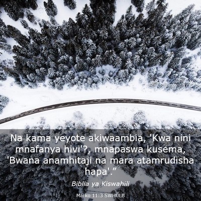 Picture 03 - Marko 11:3 SWHULB - Na kama yeyote akiwaambia, 'Kwa nini mnafanya - Bible Verse Picture