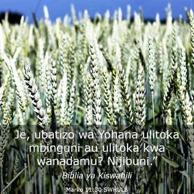 Picture 03 - Marko 11:30 SWHULB - Je, ubatizo wa Yohana ulitoka mbinguni au ulitoka - Bible Verse Picture
