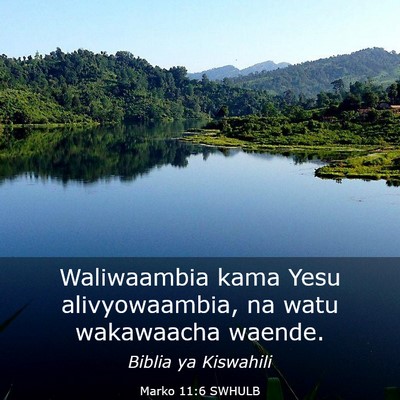 Picture 03 - Marko 11:6 SWHULB - Waliwaambia kama Yesu alivyowaambia, na watu - Bible Verse Picture