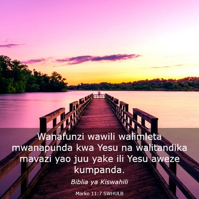 Picture 03 - Marko 11:7 SWHULB - Wanafunzi wawili walimleta mwanapunda kwa Yesu na - Bible Verse Picture