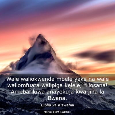 Picture 03 - Marko 11:9 SWHULB - Wale waliokwenda mbele yake na wale waliomfuata - Bible Verse Picture
