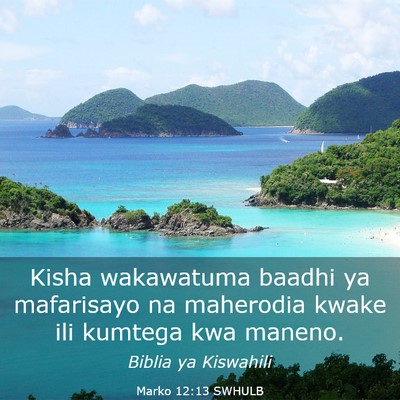 Picture 03 - Marko 12:13 SWHULB - Kisha wakawatuma baadhi ya mafarisayo na - Bible Verse Picture
