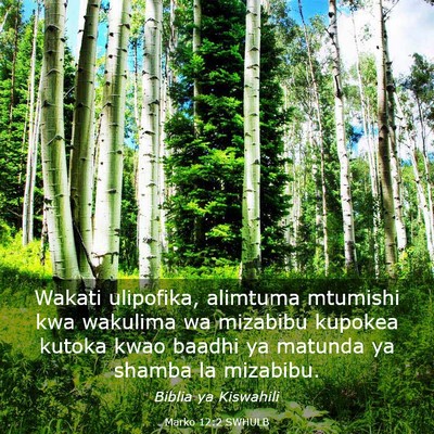 Picture 03 - Marko 12:2 SWHULB - Wakati ulipofika, alimtuma mtumishi kwa wakulima - Bible Verse Picture