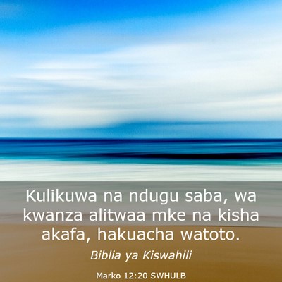 Picture 03 - Marko 12:20 SWHULB - Kulikuwa na ndugu saba, wa kwanza alitwaa mke na - Bible Verse Picture